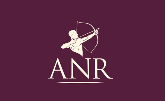 anr-group-business-logo-india