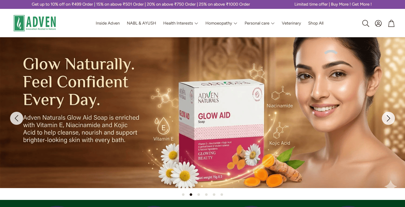 Adven In website design by professional website design agency in Delhi