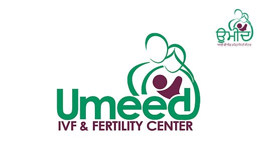 IVF and Fertility Brand Design